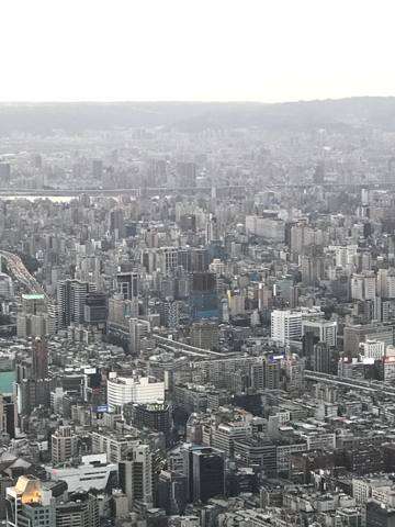 Taipei seen from above, dense low-rise city stretching to the hills